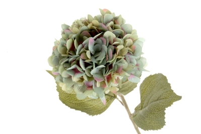 Single Hydrangea   Blue Turquoise (19cm diameter, 82cm long)