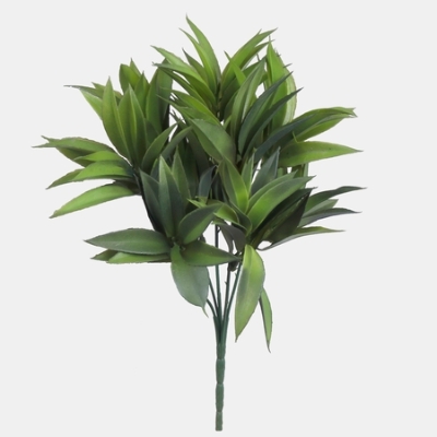 30cm Green Ruscus 5 Stems A014