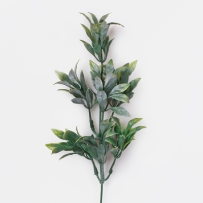 35 cm Frosty Green Ruscus A601