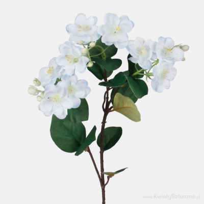 60CM LIGHT BLUE JASMINE BUSH