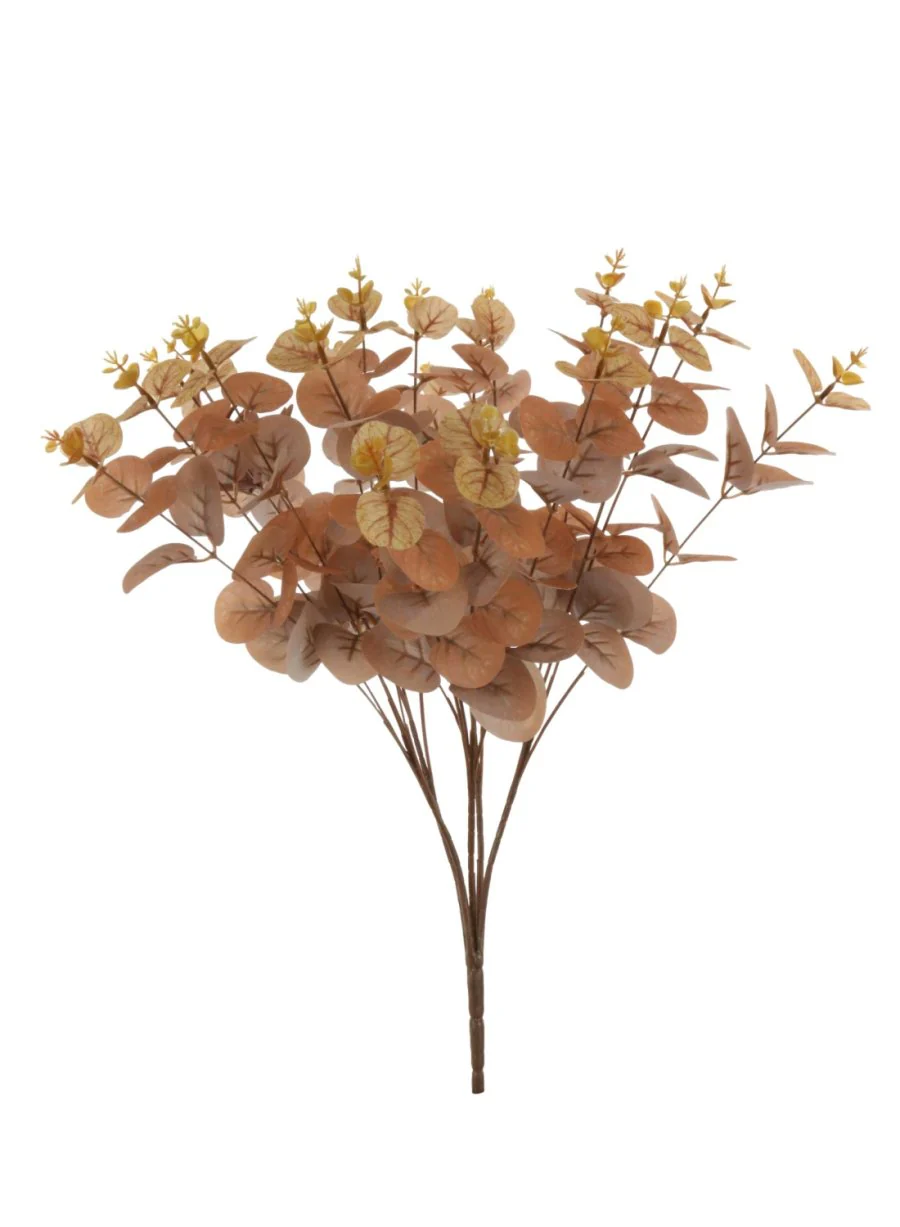 Burnt Orange Eucalyptus Bunch 48cm