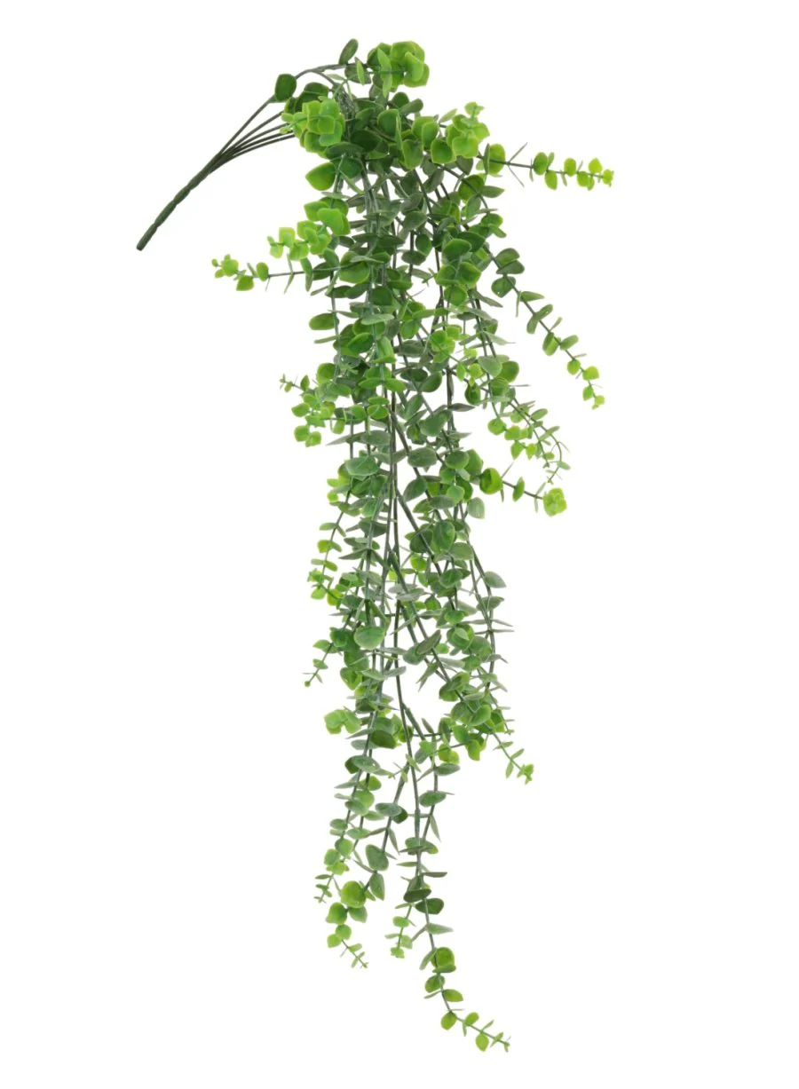 Green Hanging Eucalyptus Bunch 80cm