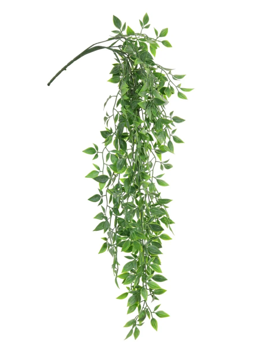 Green Hanging Ruscus Bunch 58cm