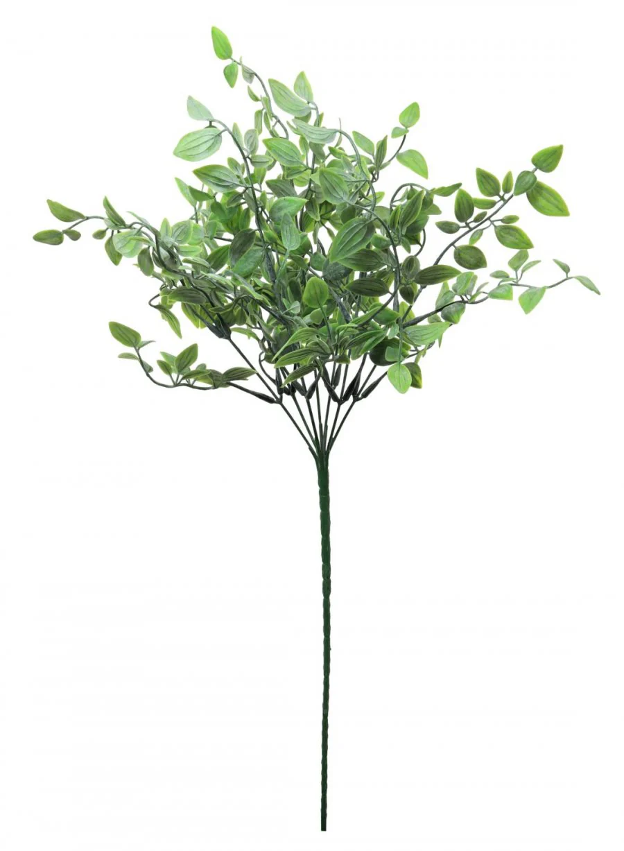 Green Ruscus Bunch 60cm