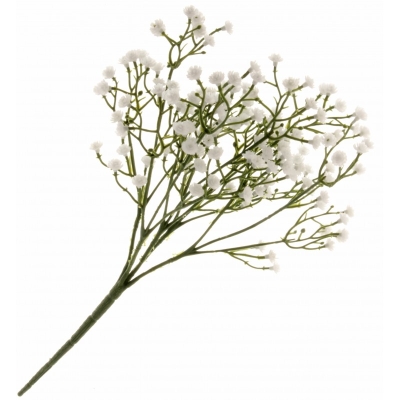 Gypsophila Spray   White & Green (30cm long, 5 stems