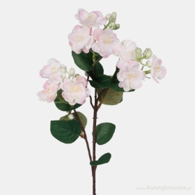 60CM LIGHT PINK JASMINE BUSH